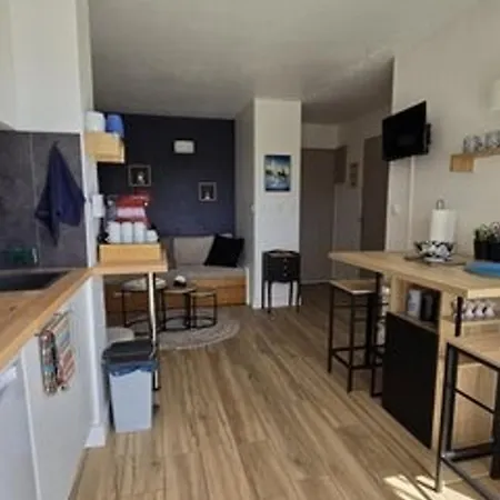 Bord De Avec Parking Et Piscine - Confort Et Commodite - Fr-1-801-4 * Agde
