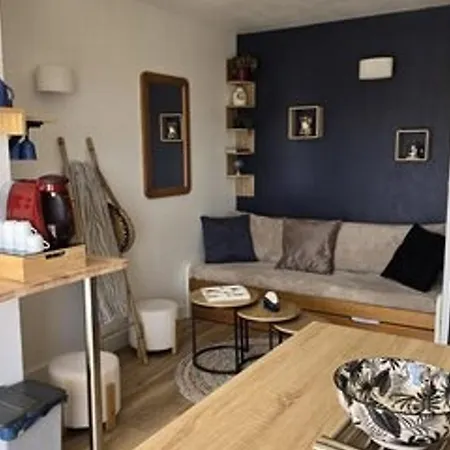 Apartment Bord De Avec Parking Et Piscine - Confort Et Commodite - Fr-1-801-4 Agde